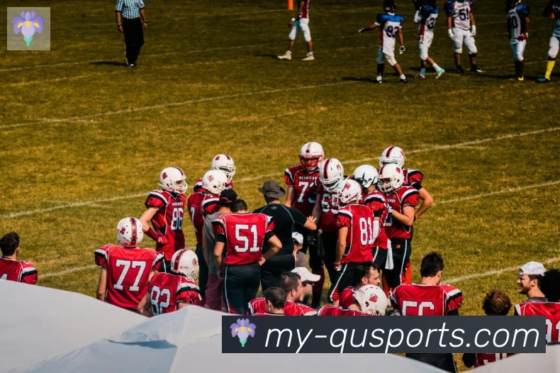 App Interface Preview